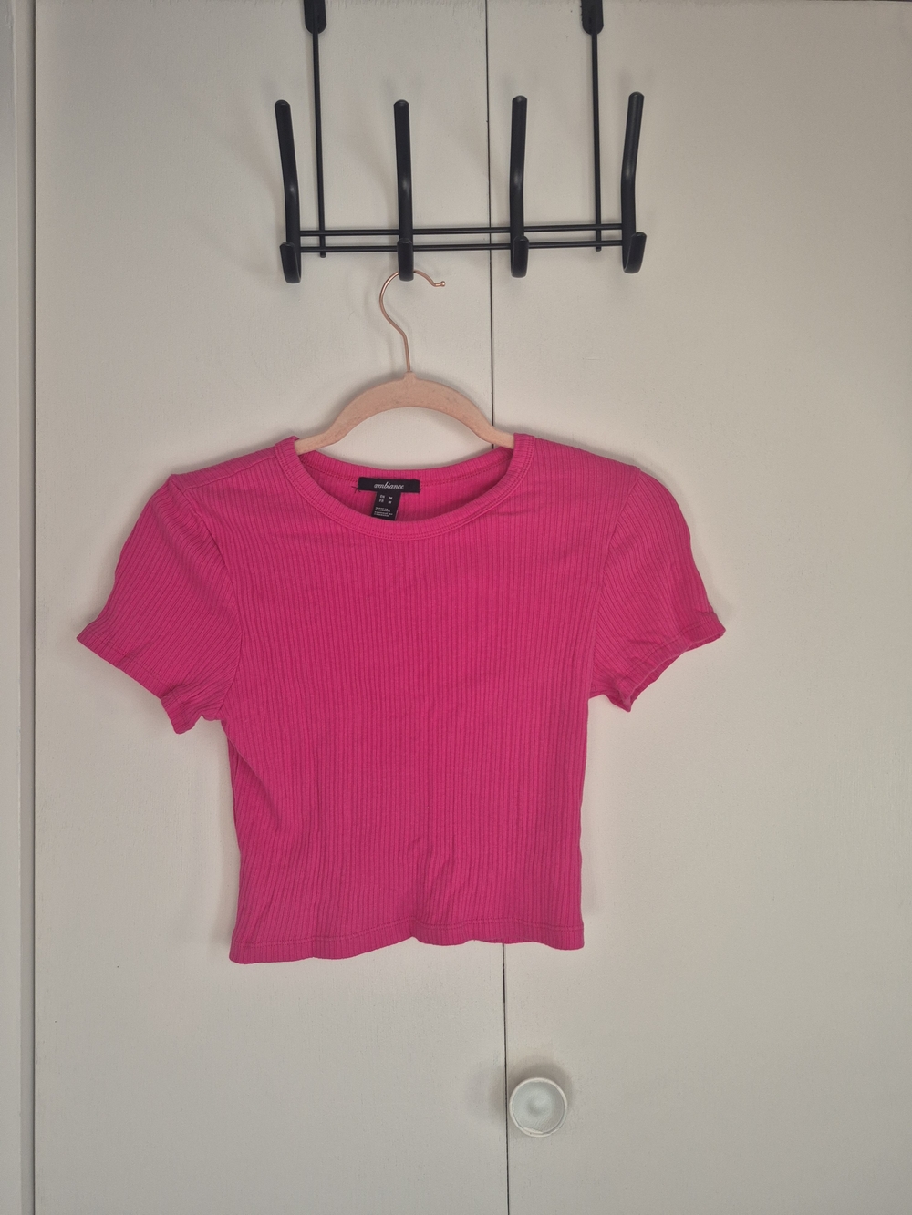 Ambiance Ribbed Crewneck Crop Top in Hot Pink